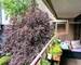 Trop tard ! Sous offre acceptée... - 6dfdce91-3a32-4fa0-9eb7-04f7c0e2b915 1