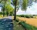 Maison XIXème en pierres ! - Bel alignement de platanes dès l'entrée du village