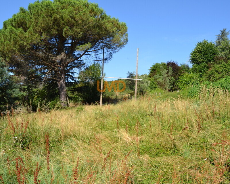 Terrain de 1 000 m² à Mercuer - Dsc 0204