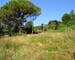 Terrain de 1 000 m² à Mercuer - Dsc 0204