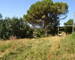 Terrain de 1 000 m² à Mercuer - Dsc 0205