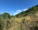 Terrain constructible de 2 260 m² avec vue montagne - Whatsapp image 2025-07-19 at 17.59.43