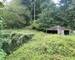 Ancienne maison forestière - Vente interactive - Maison forestière Ribeauvillé Jardin et abri bois