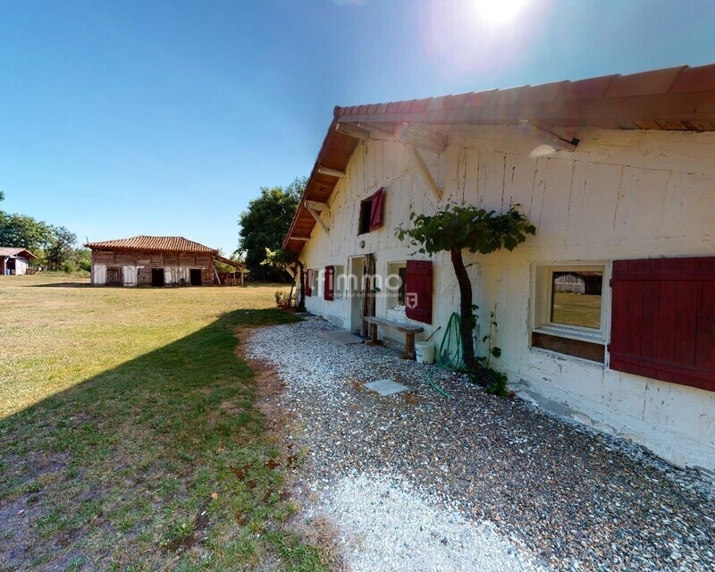 Ferme landaise - Sabres-24