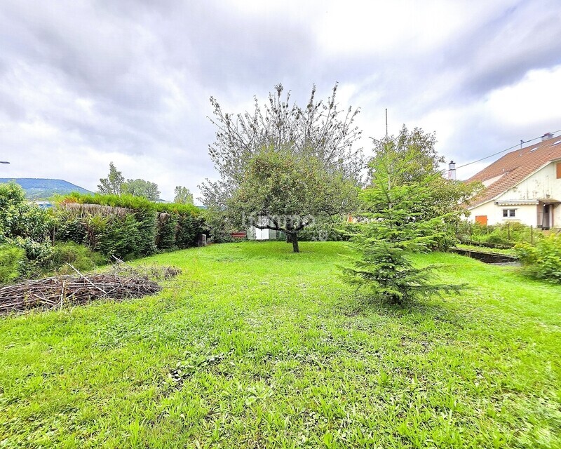Opportunité à Masevaux (68290) : maison 82 m² + 6,33 ares de terrain - terrain