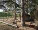 Maison 5 chambres avec Piscine, Terrain de 2000 m²  - Unknown-469