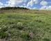 Vente terrain à Batir viabilisé 57220 Narbéfontaine - 3d1be828-afb5-4c31-aef7-ffb49e9b2279